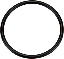 Pentair 273062 O-Ring for Dynamo Pumps