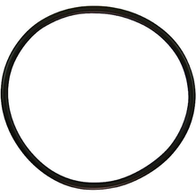 Pentair 35505-0421 O-Ring C/CC/D Series Pkg 184/184C Trap Lid