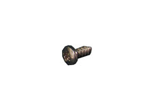 Pentair Pool Products | FILTER PART | RTL / RCF LOCK SCREW | 6N37TXPS