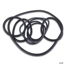 Zodiac/Jandy/Laars | Oring Kit, Zodiac Jandy HHP/HHPU | R0340900