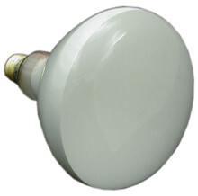 PUREX CHD/POOL STAR LIGHT | BULB, 120V 500W FLOOD | 70525