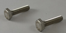 PENTAIR/PUREX | SCREW 1/4-20 X 1" HH SS 2 REQ | 071657