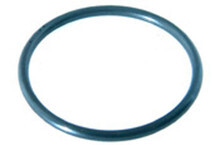 PENTAIR | Oring 2 REQ. | 350099