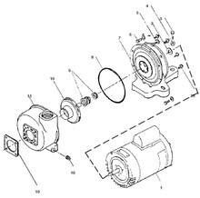 PENTAIR | IImpeller, 1 1/2 HP | 39500900