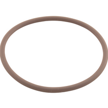 R0586300 | Zodiac | O-Ring, Viton, Zodiac Nature2 Fusion, Large Collar