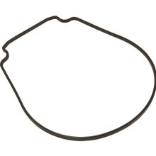 357102Z | Pentair | Gasket, Pent/Whisperflo, Seal Plate, Special ID/OD, pre 2/08