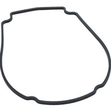 806-1400 | Waterway | Gasket, Waterway Econo Flo/Champion, Faceplate