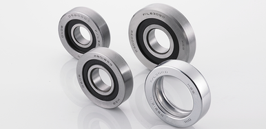 Mast Bearing X421RS for Forklifts